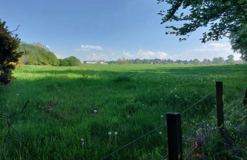 Treetops - Bright 2 Bed Flat - Super Location - Photo 2