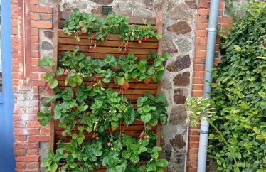 Domaine des Ecoliers - Appartement 123 soleil - Parking - Foto 13