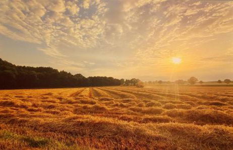 Ferienwohnungen Im Dorfe SINCE 2022 - Foto 37