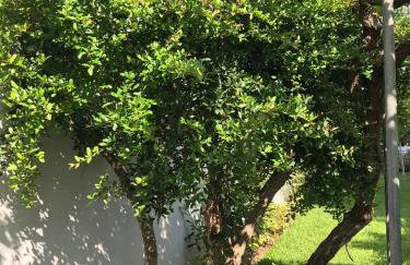 Kosta's Apartment - Foto 10