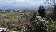 La romarine - Foto 2