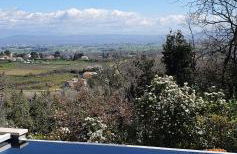 La romarine - Foto 2