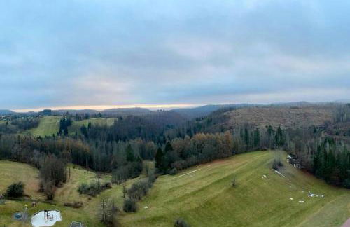 Penthouse - Panorama Suite - Hohegeiß - Foto 30