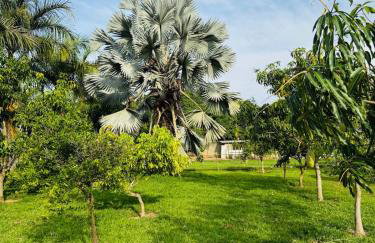 Recanto Trigueiro, um pedacinho do céu na Terra! Alexandre Gusmão, Brazlândia DF! - Foto 27
