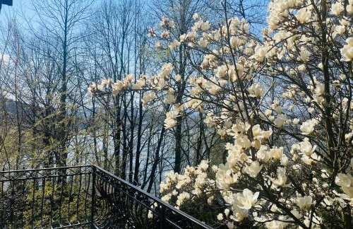 Willa z sauną Nad Jeziorem 61 - Foto 20