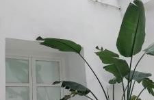 el 2 de Flamenco 1ºA - Foto 28