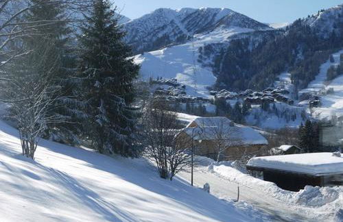 Chalet la Ravine - Photo 1