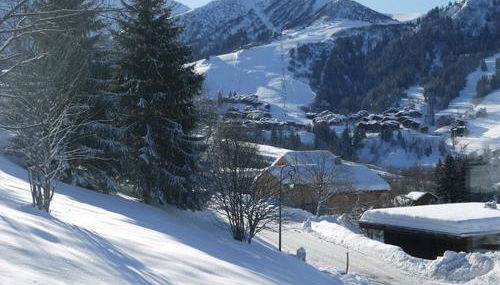 Chalet la Ravine - Photo 1, Garden view