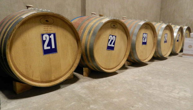 Calingasta Valley winery