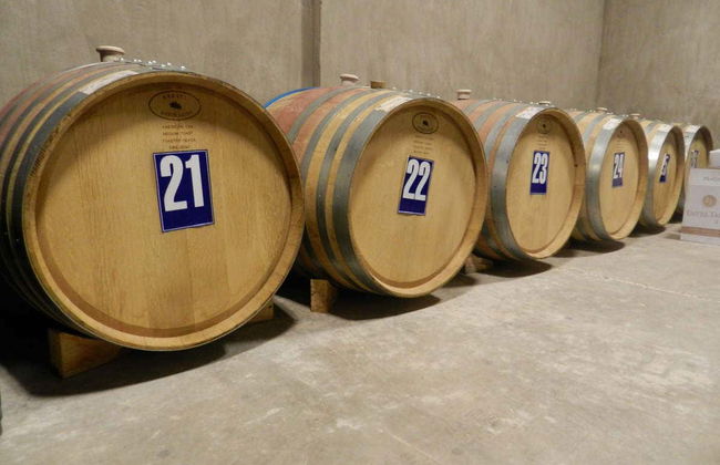 Tour privato della Valle di Calingasta + Degustazione di vini - Foto 2