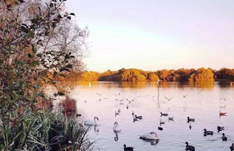 Brand New, modern flat near Wembley Stadium - Foto 26