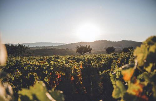 Casa do Cruzeiro Quinta do Couto - Foto 22