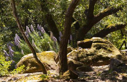 Inn Wine Country - Summers House - Foto 14