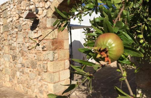 Agriturismo Vòioro - Foto 15