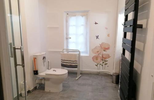 Mas provençal authentique XXL avec grande piscine, terrain de pétanque et parc privé - Foto 16