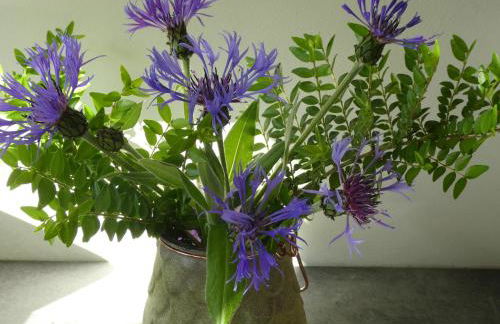 Quadrantopia - Foto 18