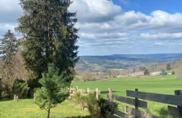 Chalet bois au calme, en lisière de forêt, balcons, sentiers balades Gérardmer & Alsace "Chalet Mon beau sapin" - Foto 33