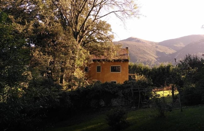 Bosque de Cuevas - Foto 69