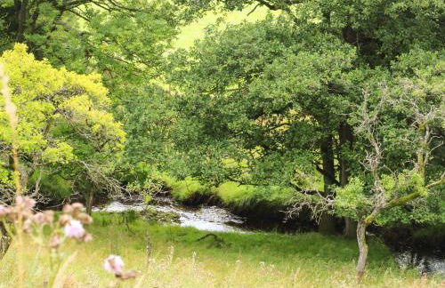 Bowland Barn - Foto 41