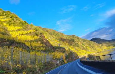 Winzerhaus am Calmont - Terrasse der Ruhe - Foto 30
