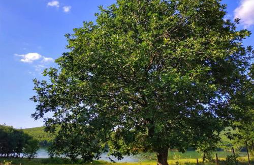 Eftychia’s home-Σπίτι με θέα τη λίμνη Πλαστήρα - Photo 21