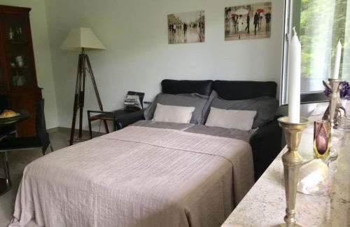 Apartment - zentrumsnah, eigener Parkplatz und großer Balkon ins Grüne - Foto 15