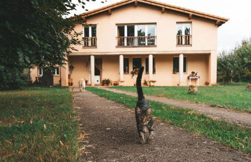 Casa de Campo La Solana - Foto 1