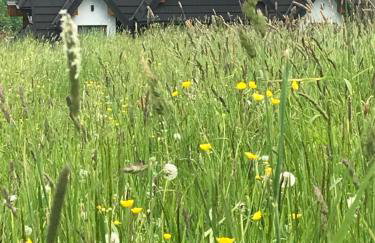 Tatrzańskie Zacisze Suche - Foto 58