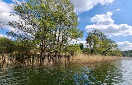 Leśna Ostoja w centrum Puszczy Nadnoteckiej otoczona 3 jeziorami - Foto 33