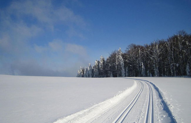 Apartment in Sonnen Near Ski Lifts - Foto 33