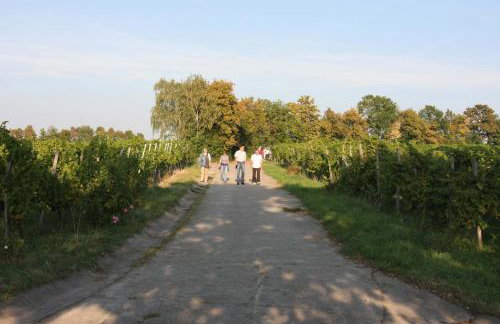 Ferienwohnung Im Schiller - Foto 2