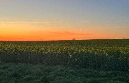 „Holzwurm-Paradies“ - Foto 32