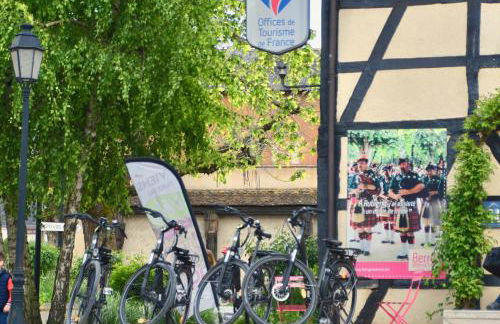 Gite de charme, Sologne, séjour en famille, jeux, balade nature en forêt & détente, centre Aubigny - Foto 9