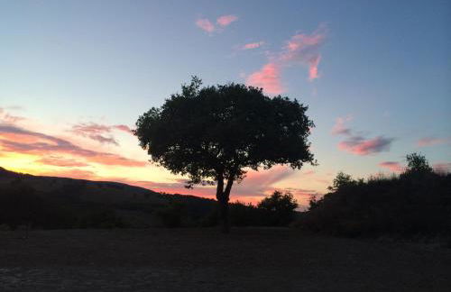 Agriturismo La Vita è Bella - Foto 36