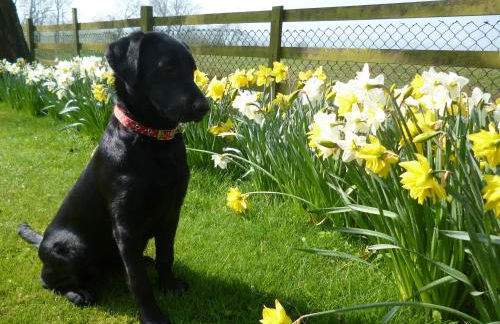 White House Farm Cottages - Photo 3