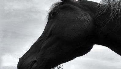 Bajo Los Tilos - Foto 5