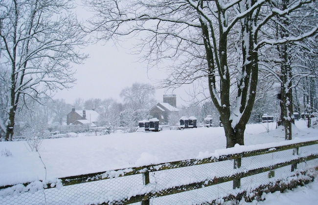 Falstone Barns - Foto 40