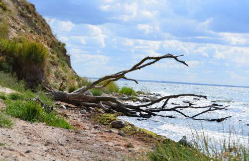 Insel Landhaus Feuerstein - Foto 52