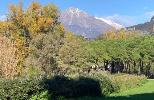 La Magnolia - Foto 27