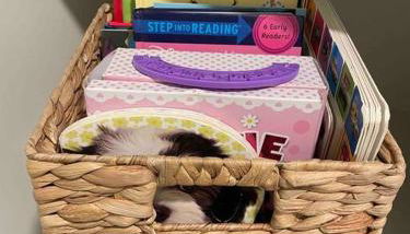 Modern Work/Relax - Private Hottub & Firepit - Foto 4