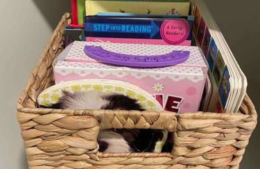 Modern Work/Relax - Private Hottub & Firepit - Foto 4