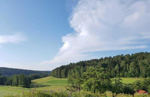 Zirbenholzwohnung Lochau - Foto 14