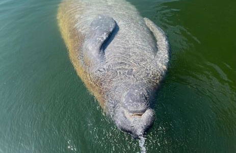 St Thomas - Waterfront Penthouse sleeps 16 w Pool & Boat Dock - Foto 42