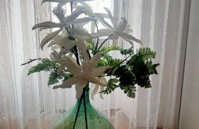 Apartmani Milenko Lubenice - Foto 4