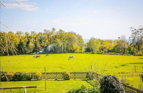 Chalet baie de La Forêt-Fouesnant - Foto 34