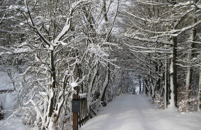 Spacious Cottage in Robertville With Swimming Pool - Foto 25