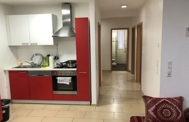 Sahara Falcon - Foto 39