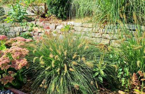 Ferienwohnung Hornig Zwei Terrassen, Parkplatz, separater Eingang - Foto 27