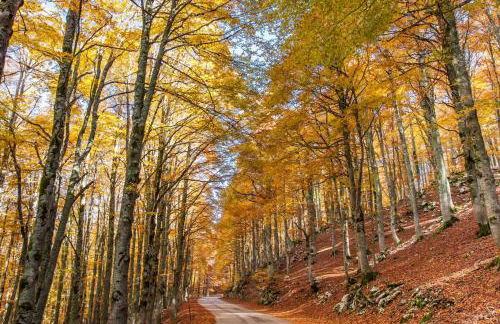 Agriturismo di charme Erbadoro - Foto 92