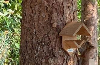 Maisonnette cosy bord de Seine 30min paris - Foto 14